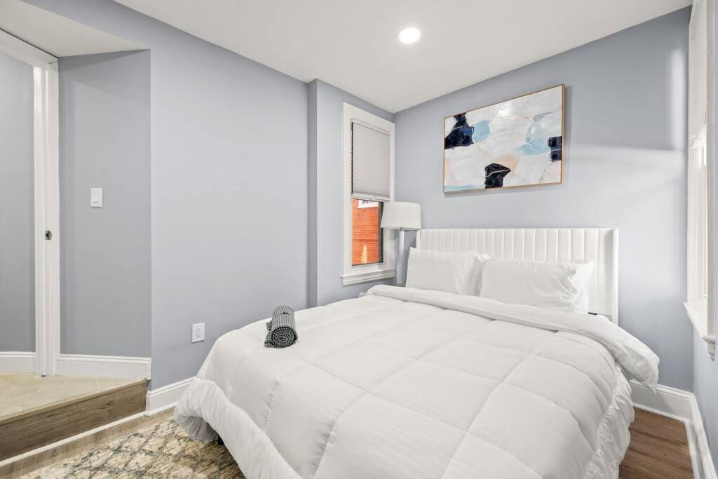 New! Cozy Apt In Center City! فيلادلفيا المظهر الخارجي الصورة